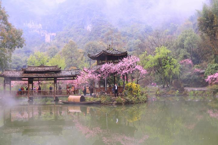 公主热带婚礼主题